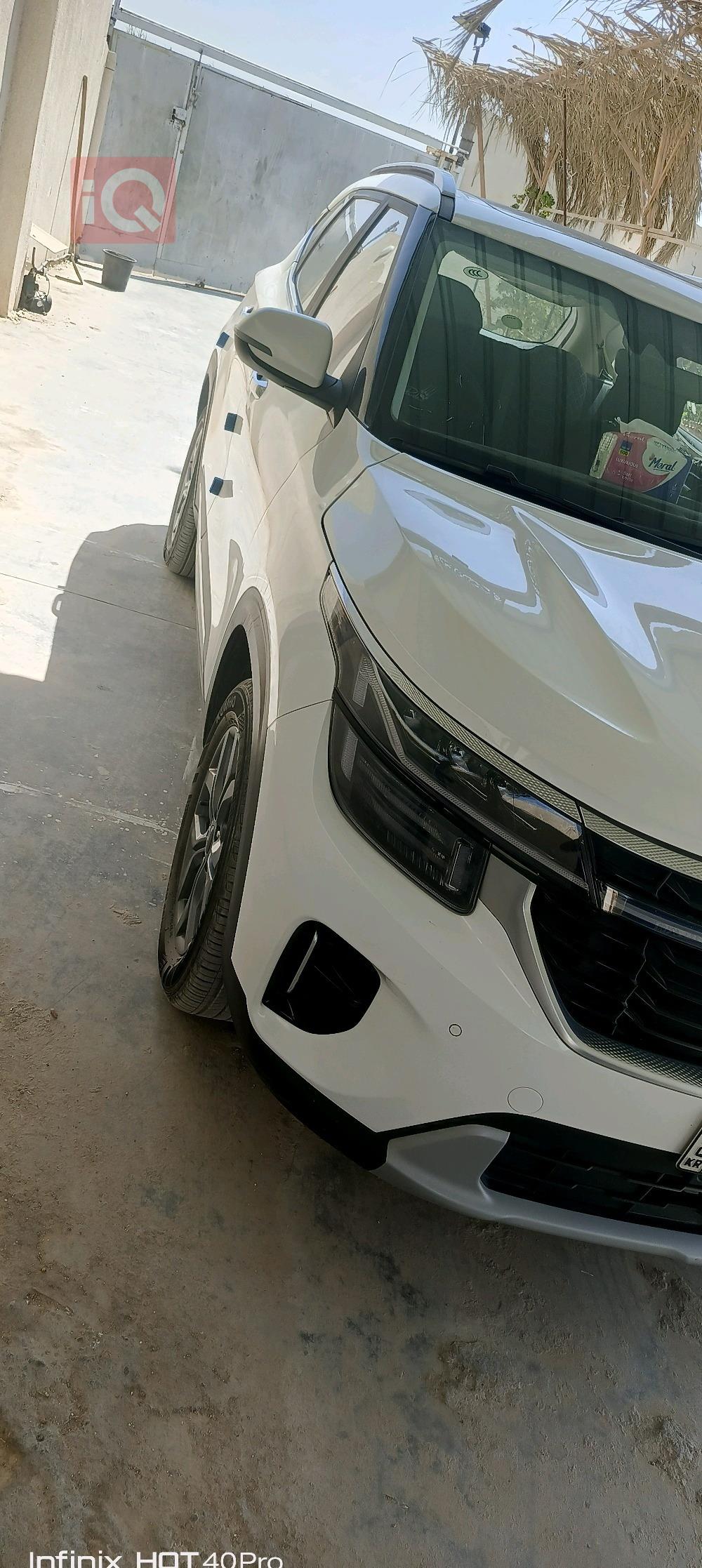 کیا سێلتۆس